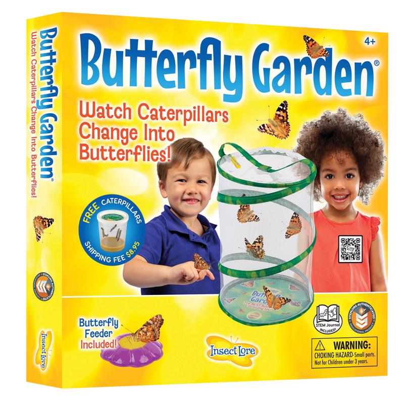 Kit de cultivo de jardín de mariposas Insect Lore verde