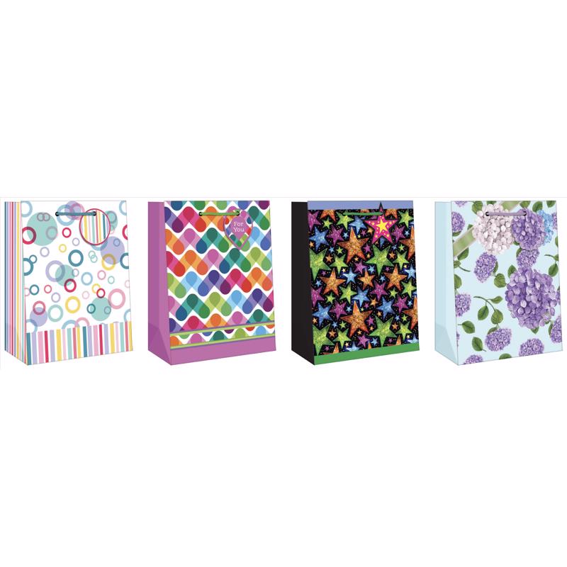 Paper Images Assorted General Designs Medium Gift Bag (Pack of 12)