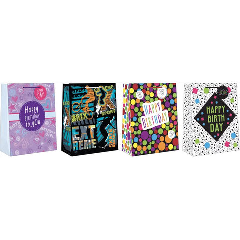 Paper Images Assorted Large Tween Birthday Gift Bag (Pack of 12)