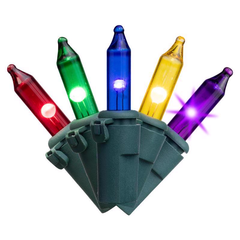 Celebrations Classic LED T5 Multicolored 100 ct String Christmas Lights 24.75 ft. (Pack of 12)