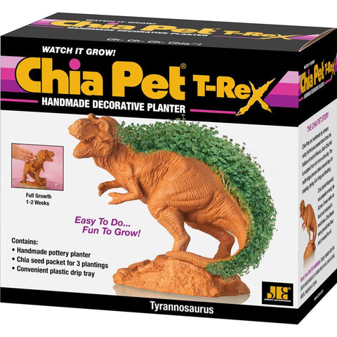 Chia Pet Dinosaur TRex Decorative Planter Terracotta Clay 1 pk (Pack of 16)