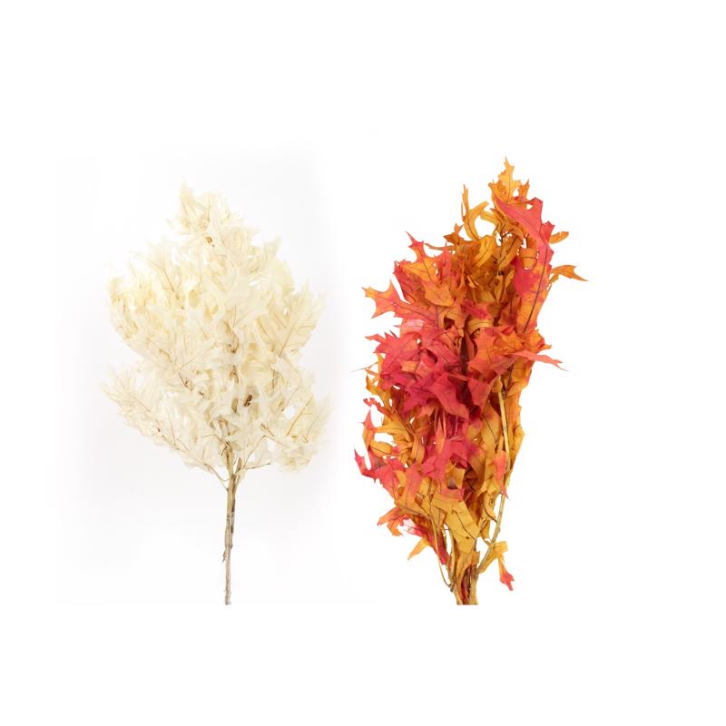 Second Nature Woodsy Oak Leaves Fall Decor (Pack of 24)