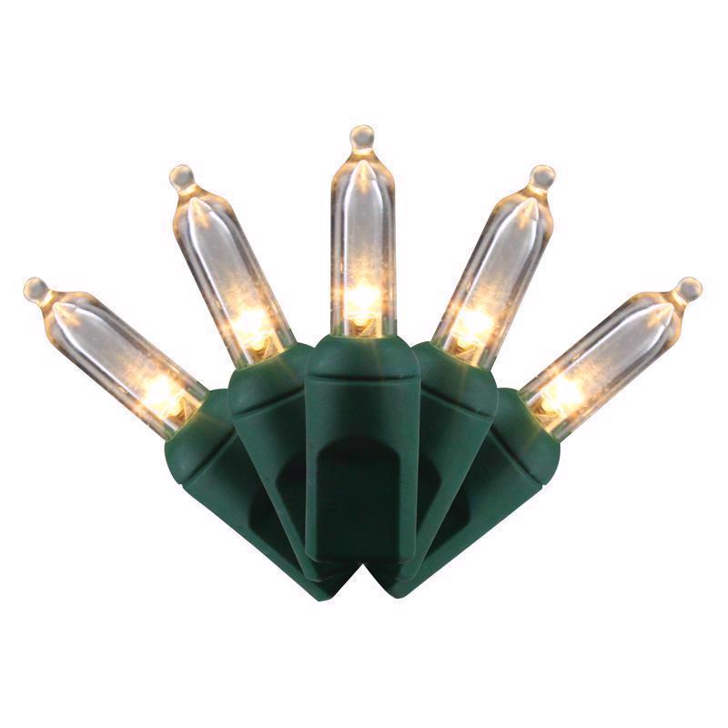 Celebrations LED T5 Warm White 50 ct String Christmas Lights (Pack of 12)