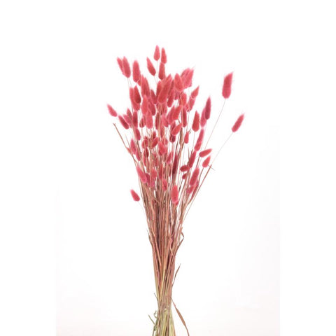 Second Nature Red Bunny Tails Table Decor (Pack of 24)