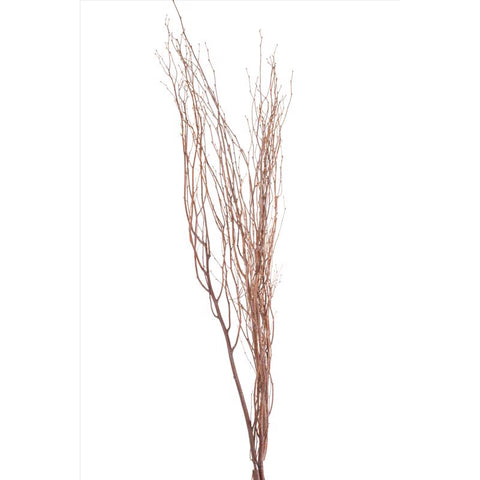 Second Nature Brown Birch Branches (Pack of 24)