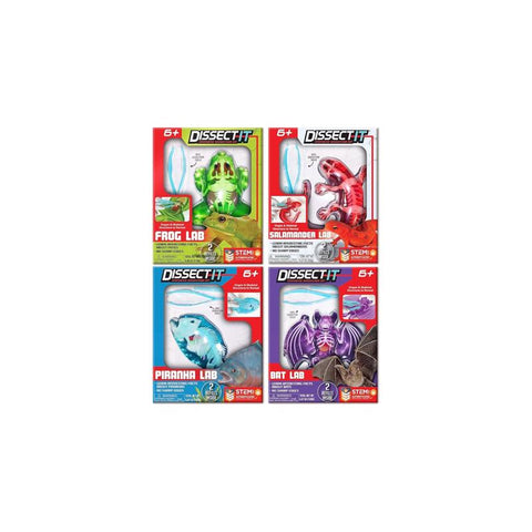 Cra-Z-Art Frog, Salamander, Piranha, and Bat Dissect It Mini Lab (Pack of 12)
