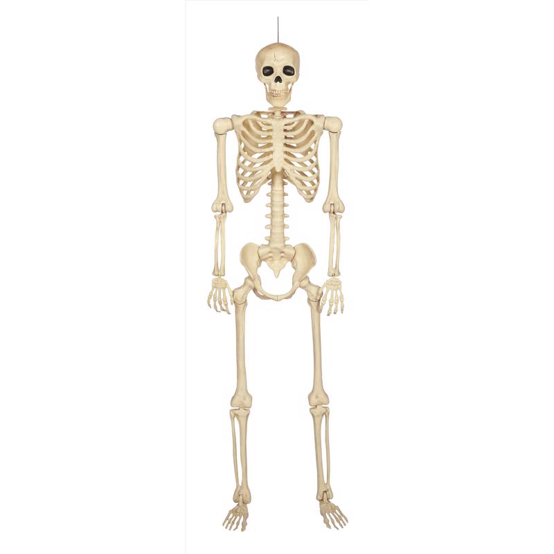 Seasons 60 in. Skeleton Halloween Decor