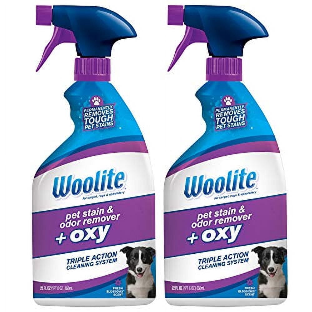 Woolite Pet Stain & Odor Remover + Oxy, 22 oz (2 Pack)